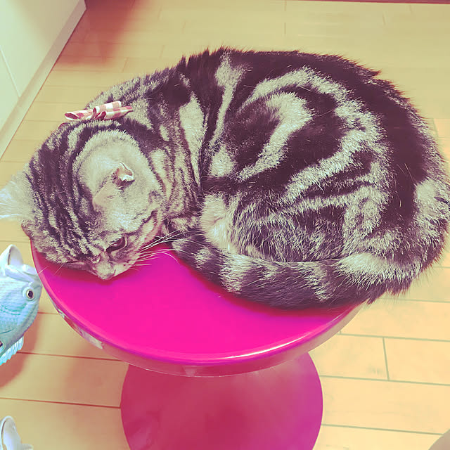 jukai8153さんの実例写真