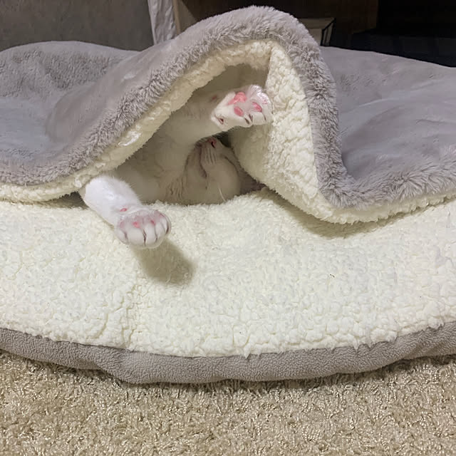 keiさんの部屋