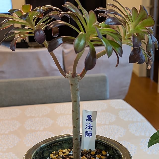 kumijiさんの部屋