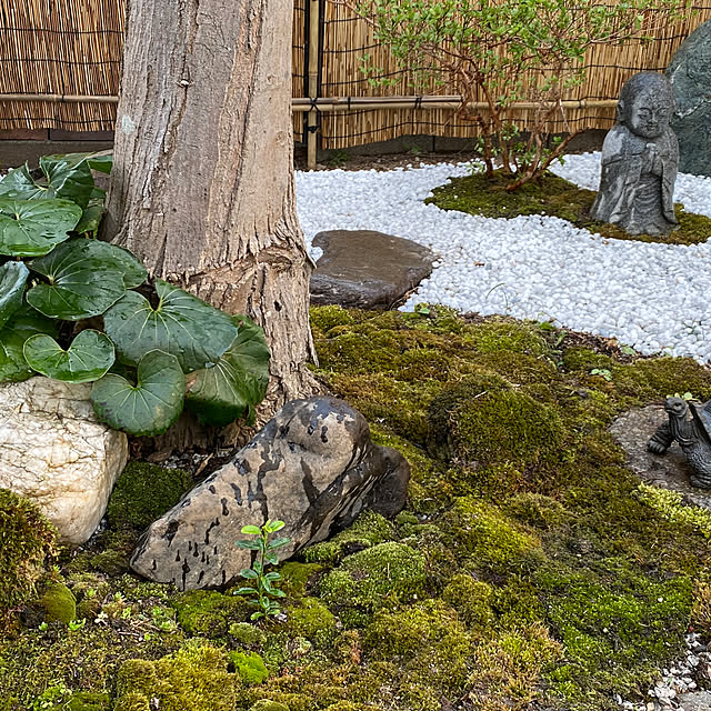 mesia0506さんの実例写真