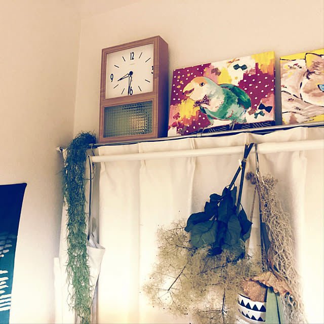 parrotさんの実例写真