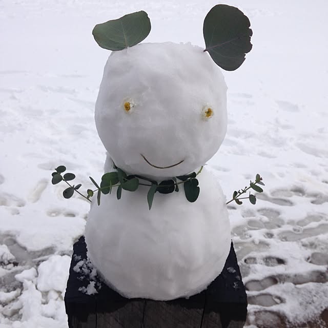 matricariaさんの実例写真