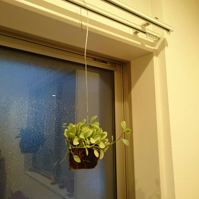 voce0000さんの実例写真