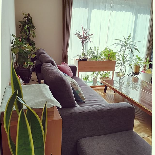 akiwaka-roomさんの実例写真