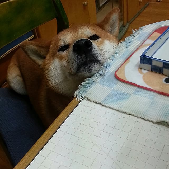 sacchinさんの実例写真