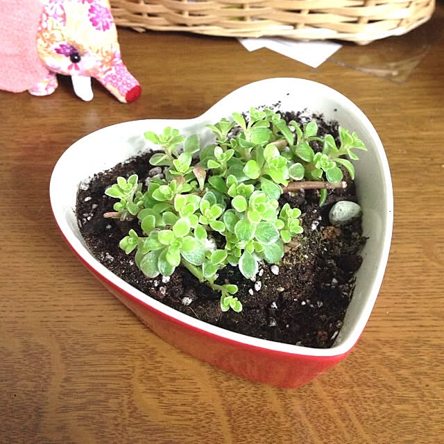 berryさんの実例写真