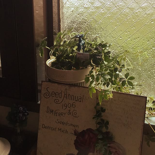 Araigumaさんの実例写真
