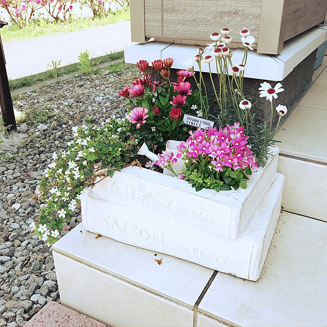 mami_1225a3さんの実例写真