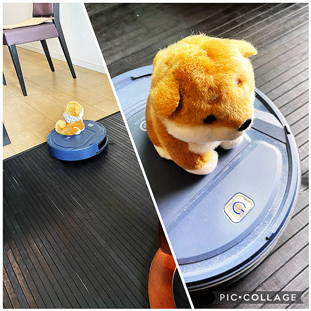 aureaさんの実例写真