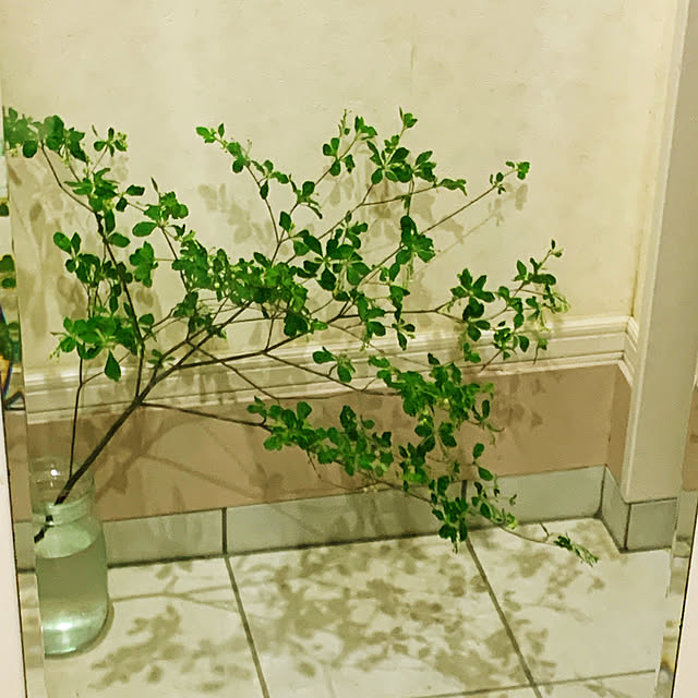 eshinobumさんの実例写真