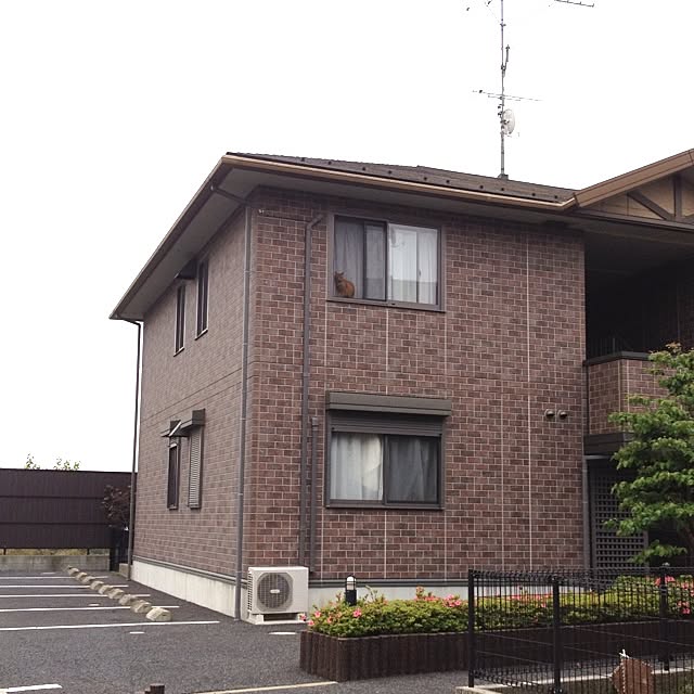 akitan18さんの実例写真