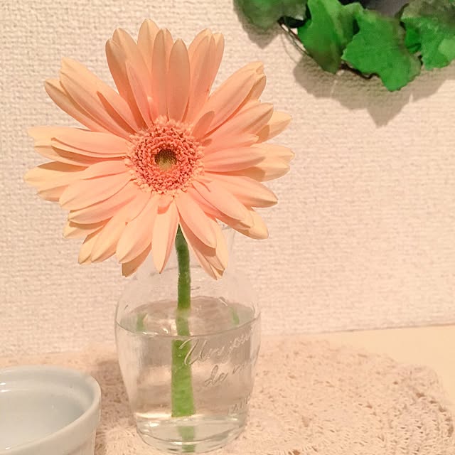 fuutaさんの実例写真