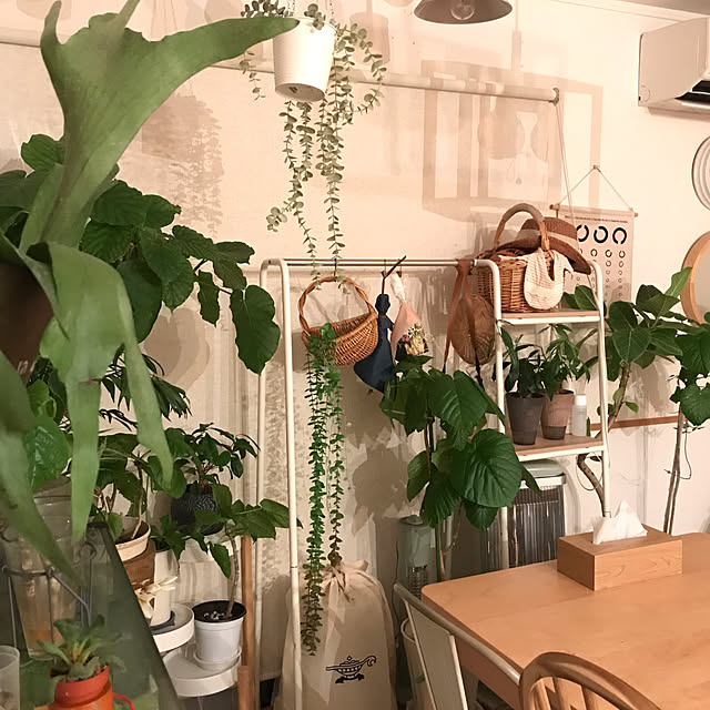hirariさんの部屋