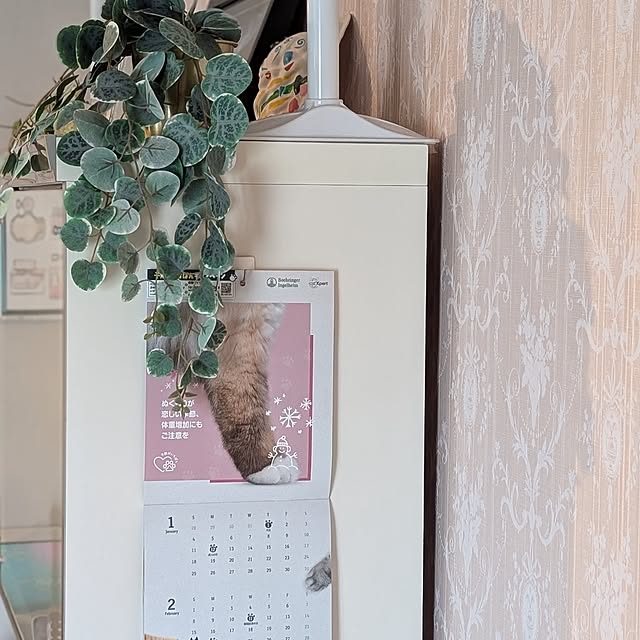 erisavesu4さんの実例写真