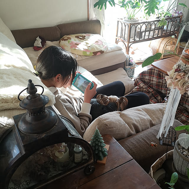 akiさんの実例写真