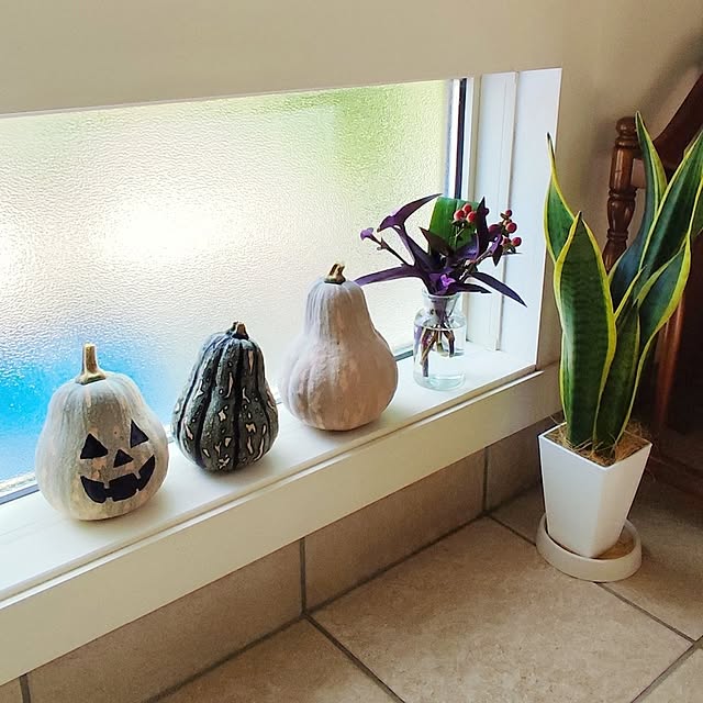 coco0.84.さんの実例写真