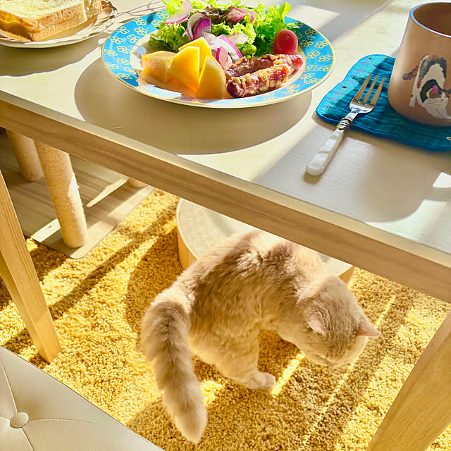 naokoさんの実例写真