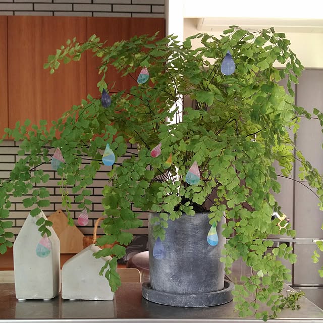 sonaさんの実例写真