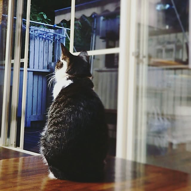 yukiさんの実例写真