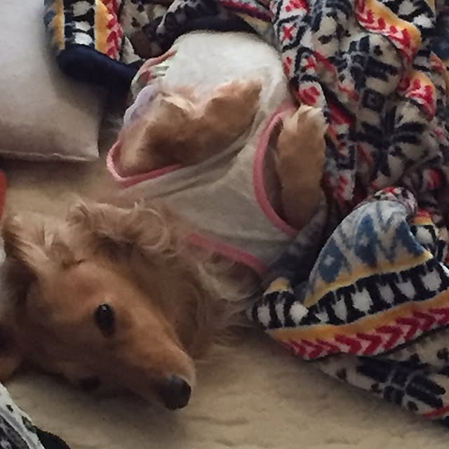 hi-naさんの実例写真
