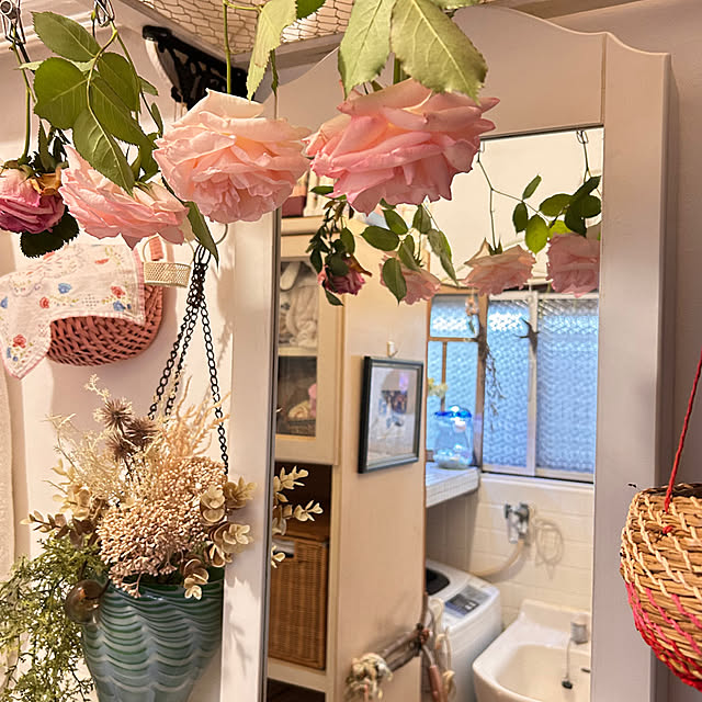 akaidarumaさんの部屋