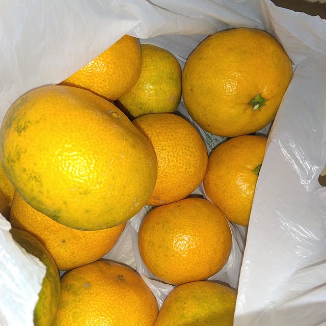 tomo3さんの部屋