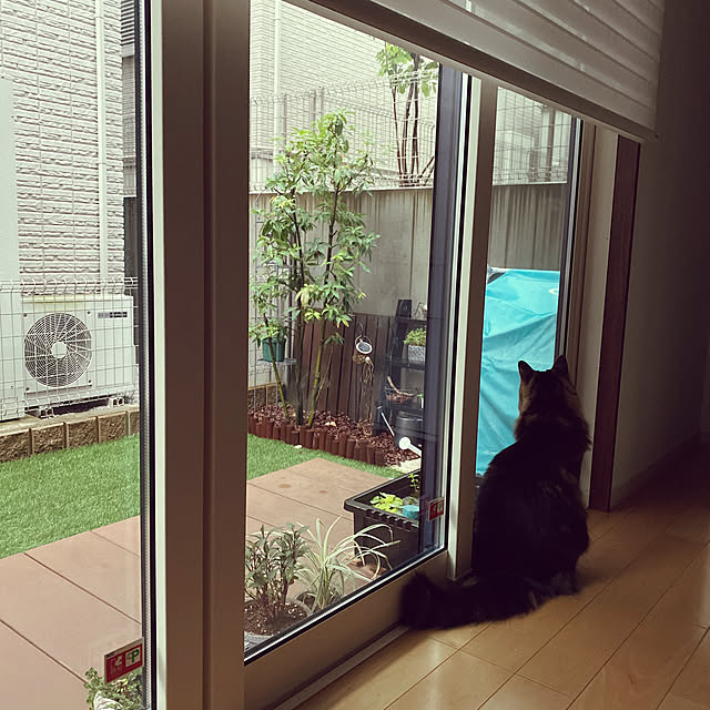 Komekoさんの実例写真