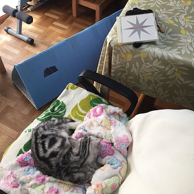 実例写真