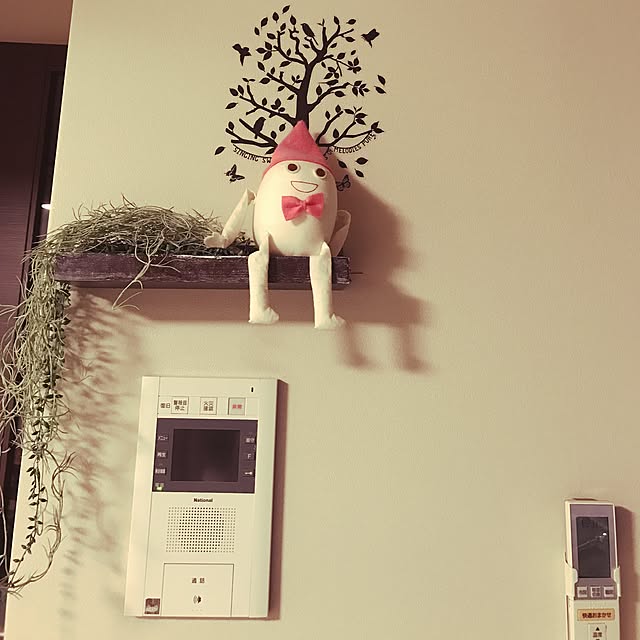 kurukuruさんの実例写真