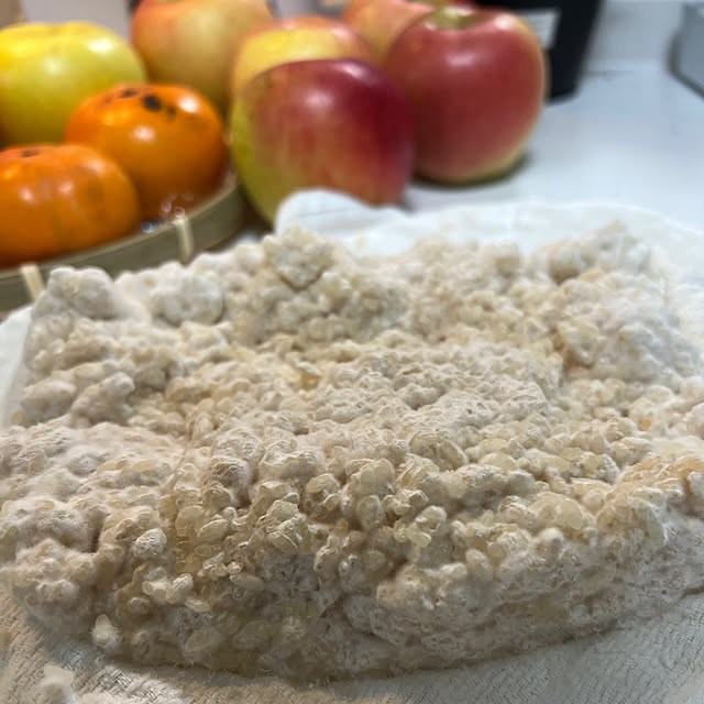 SquarePantsさんの部屋