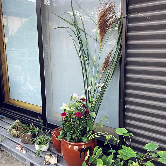 CoCo0617さんの実例写真