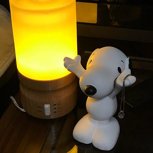 akosanさんの実例写真