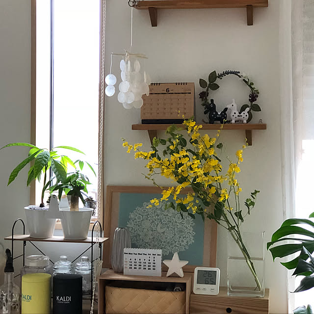 loliontoaliceveさんの実例写真
