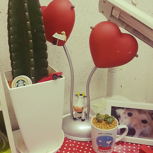 sacchinさんの実例写真