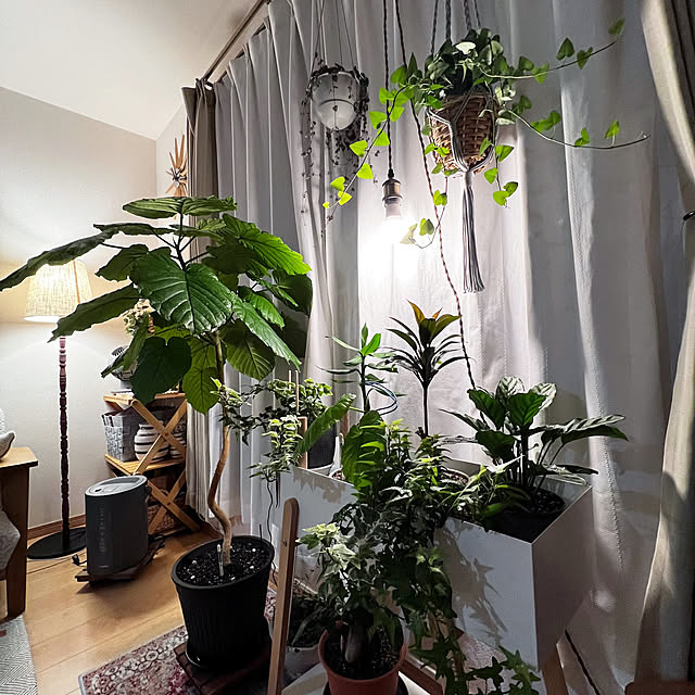 masumiさんの部屋