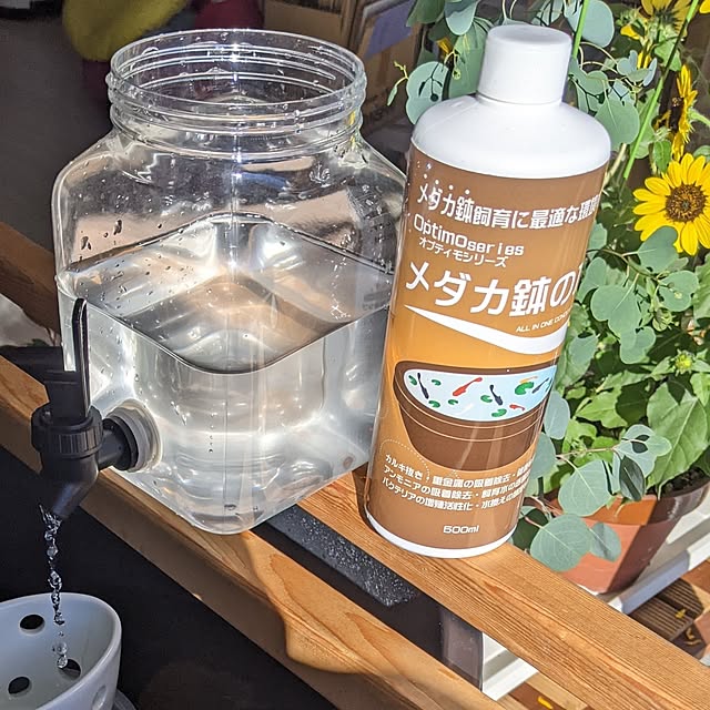 mi-saさんの部屋