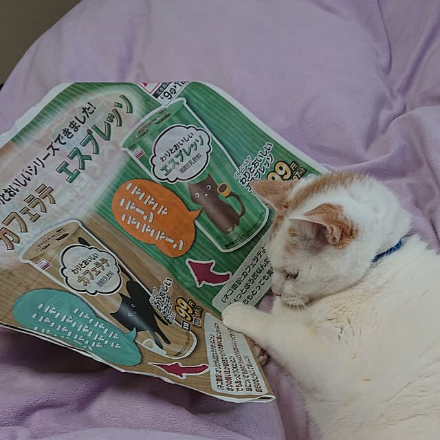 NOAHさんの部屋