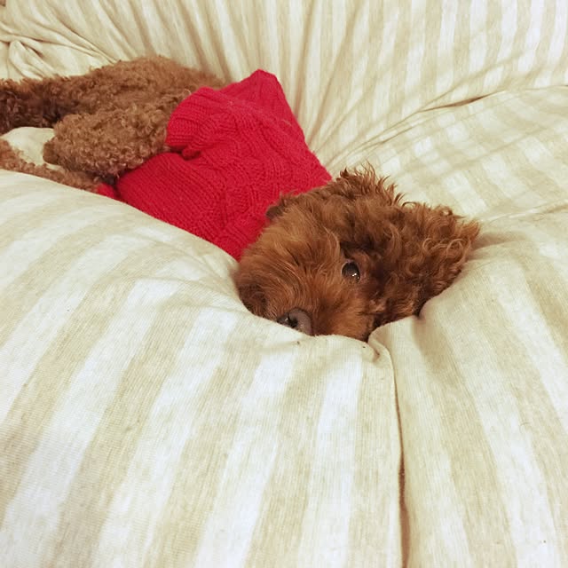 minapoohさんの実例写真