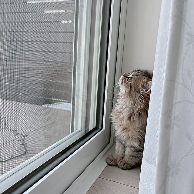 miyu39さんの部屋