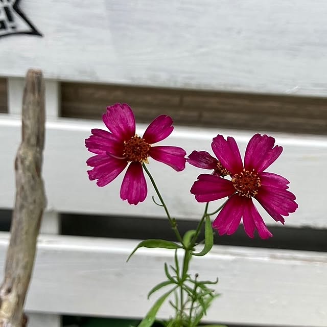 min_nimさんの実例写真