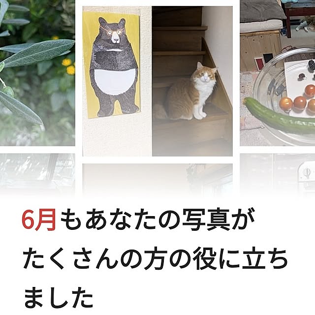 mori_6_12さんの実例写真