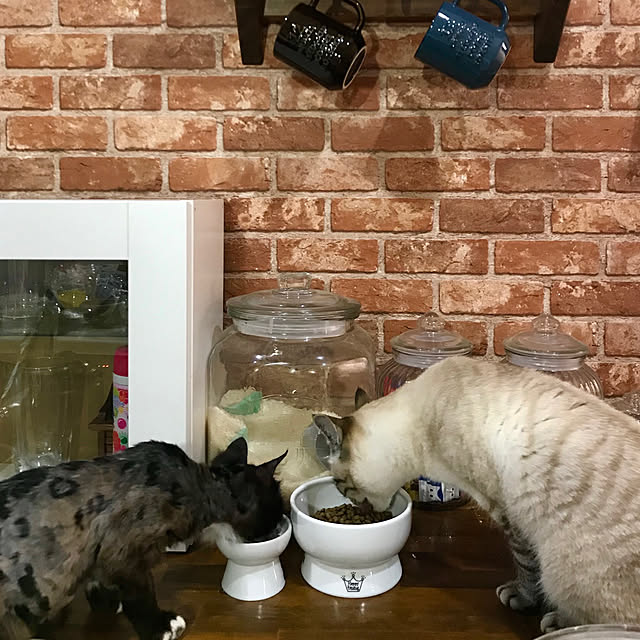butachanさんの実例写真