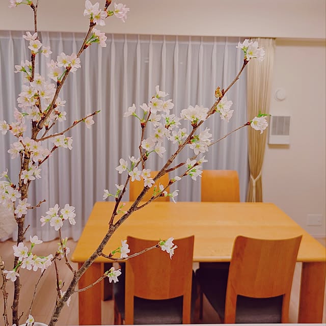 harikoさんの部屋