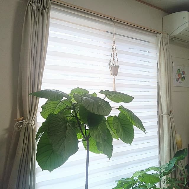 h.t.さんの実例写真
