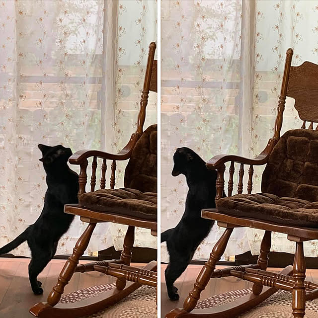 tabasaさんの実例写真