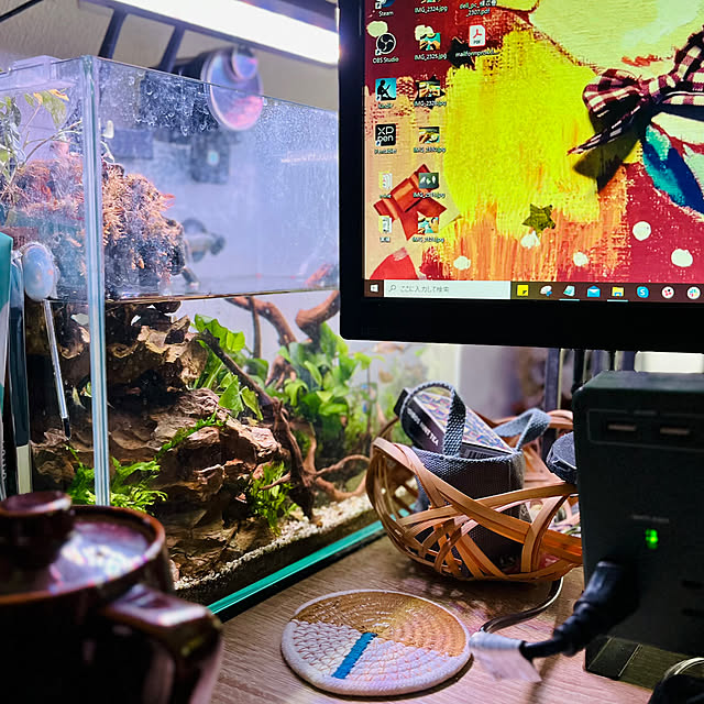 parrotさんの実例写真