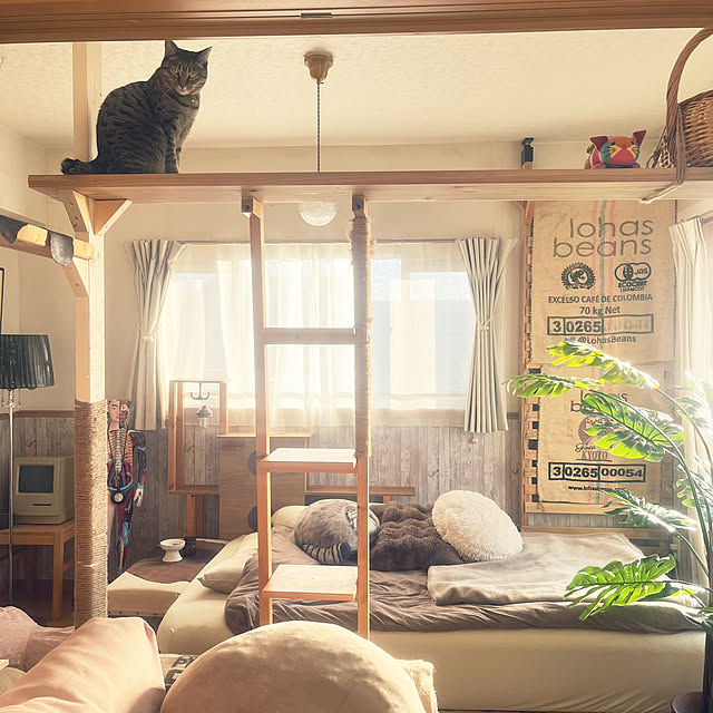 Mさんの部屋