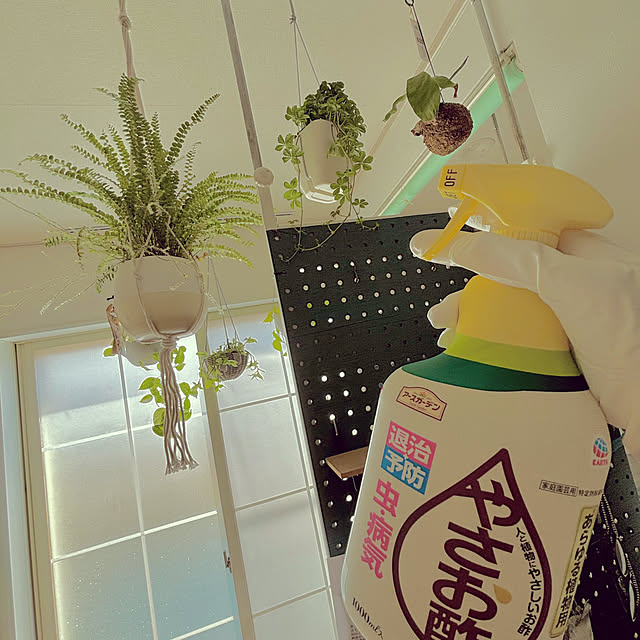 masamasaさんの部屋