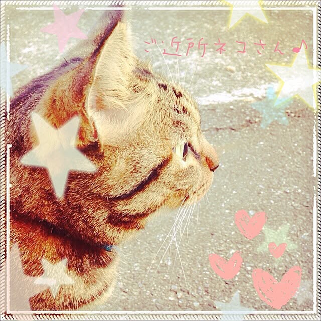 aiさんの実例写真