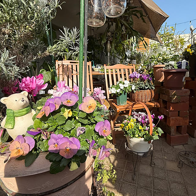 Aqettyさんの実例写真